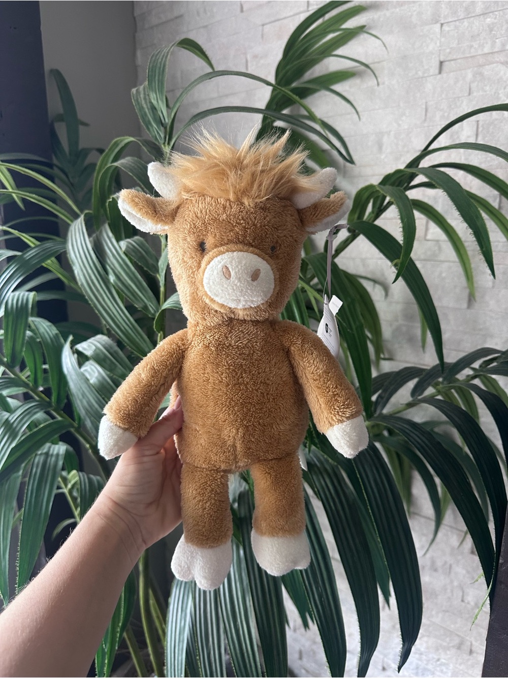 Cloud Island Plush Brown Brown Highland Cow Stuffed Animal Lovey Plush New Tags